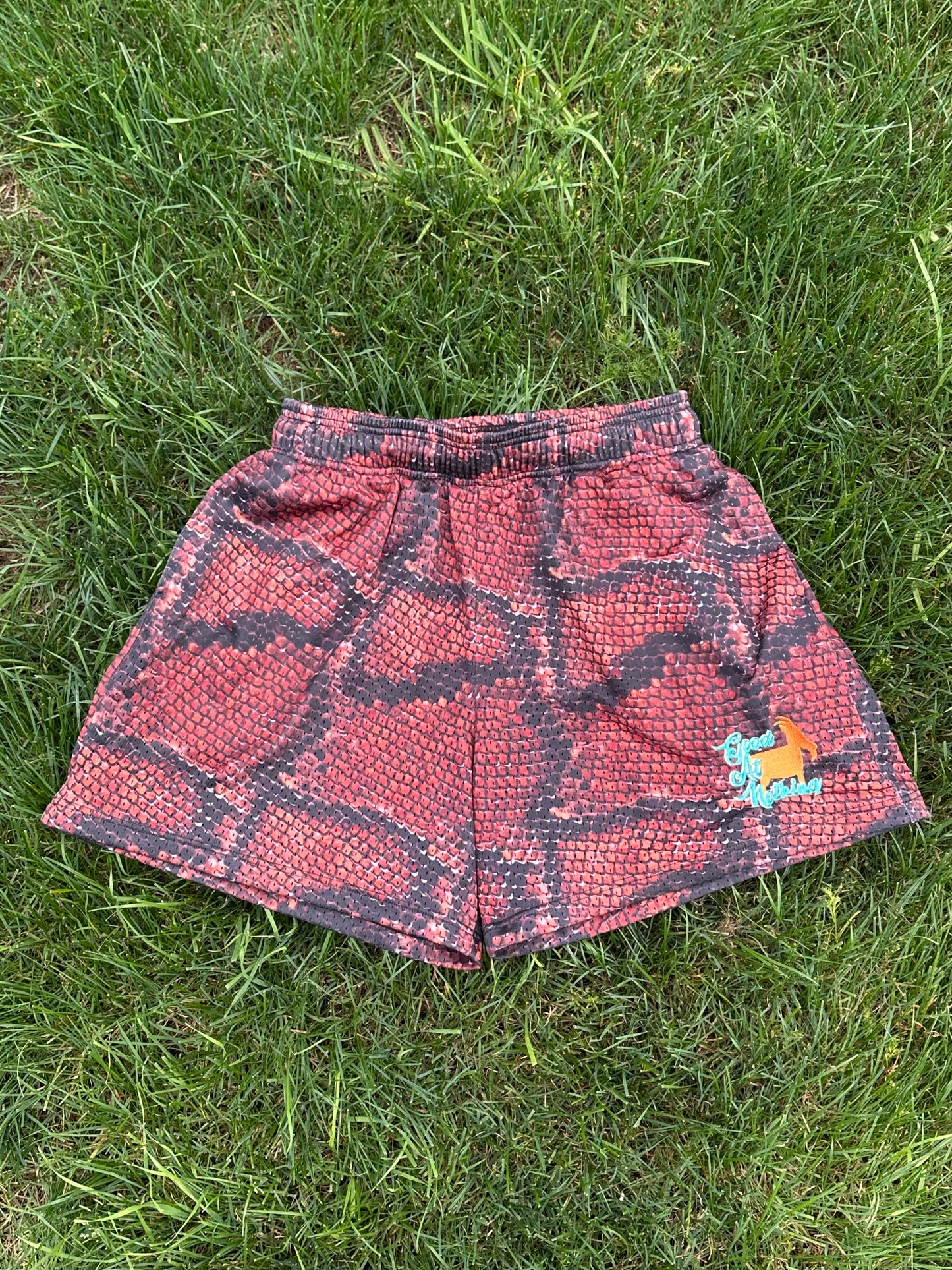 Good At Nothing Shorts
