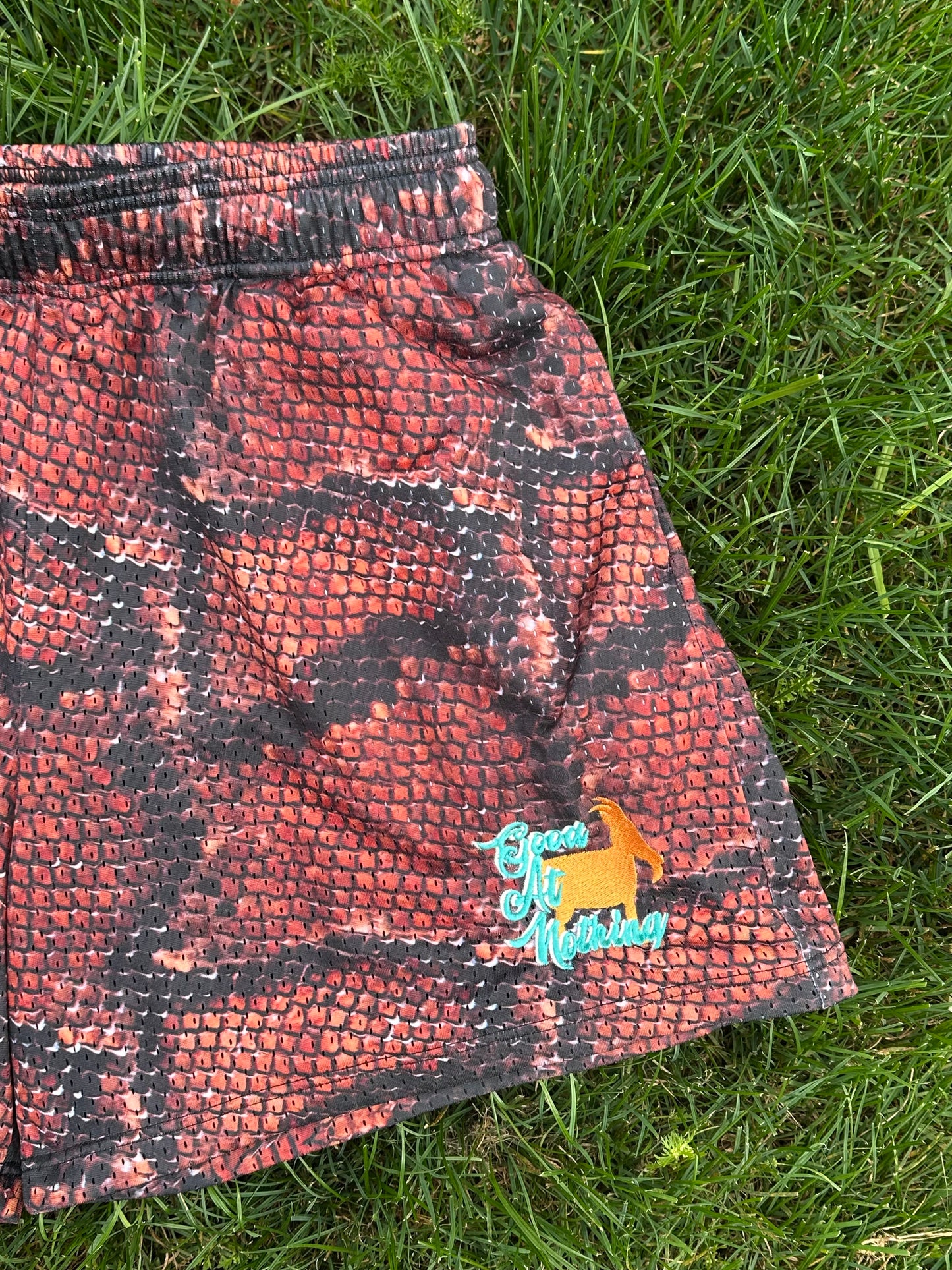 Good At Nothing Shorts